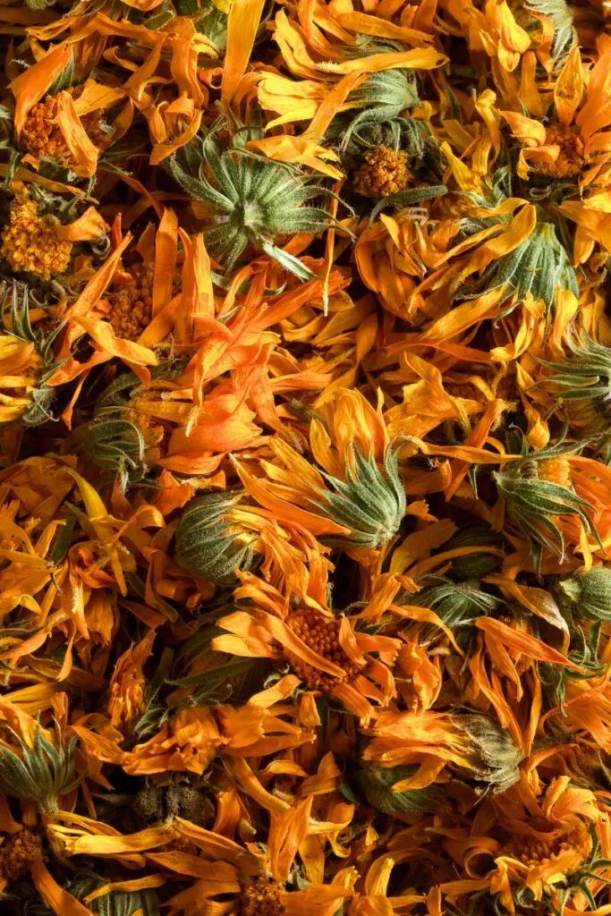 Premium Calendula Petals (Marigold)