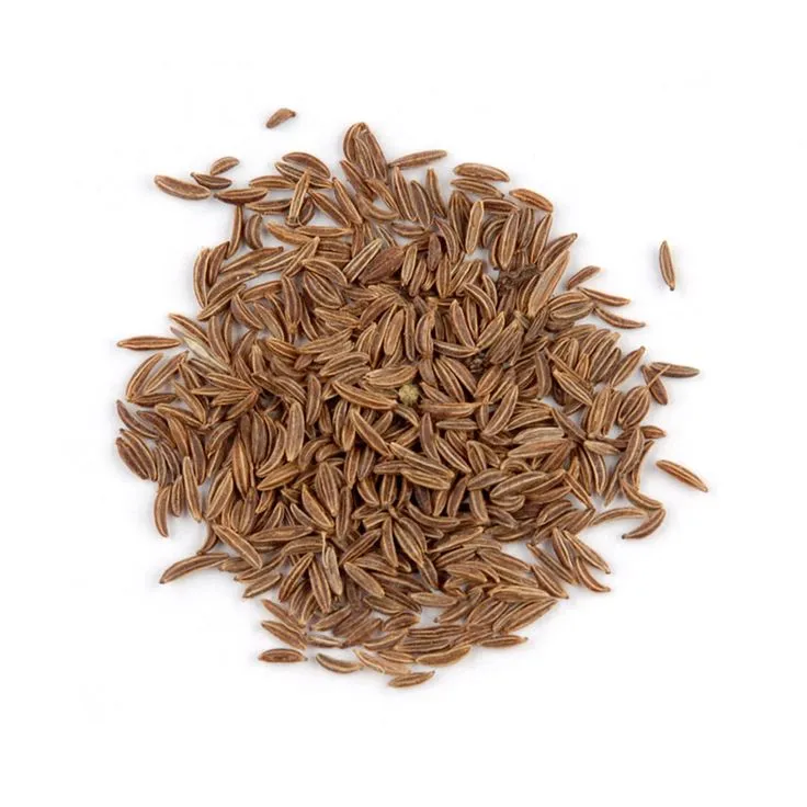 Premium Caraway Seeds