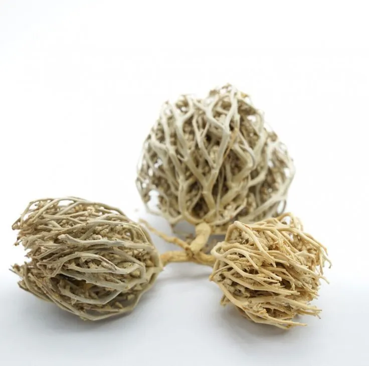 Premium Chaste Tree Herb