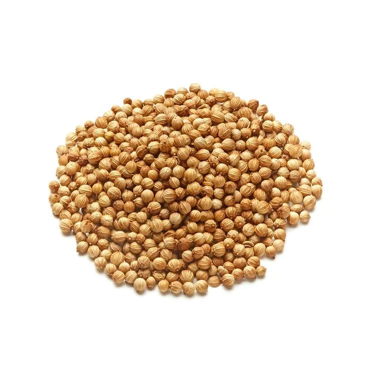Premium Whole Coriander