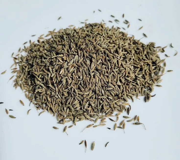 Premium Cumin