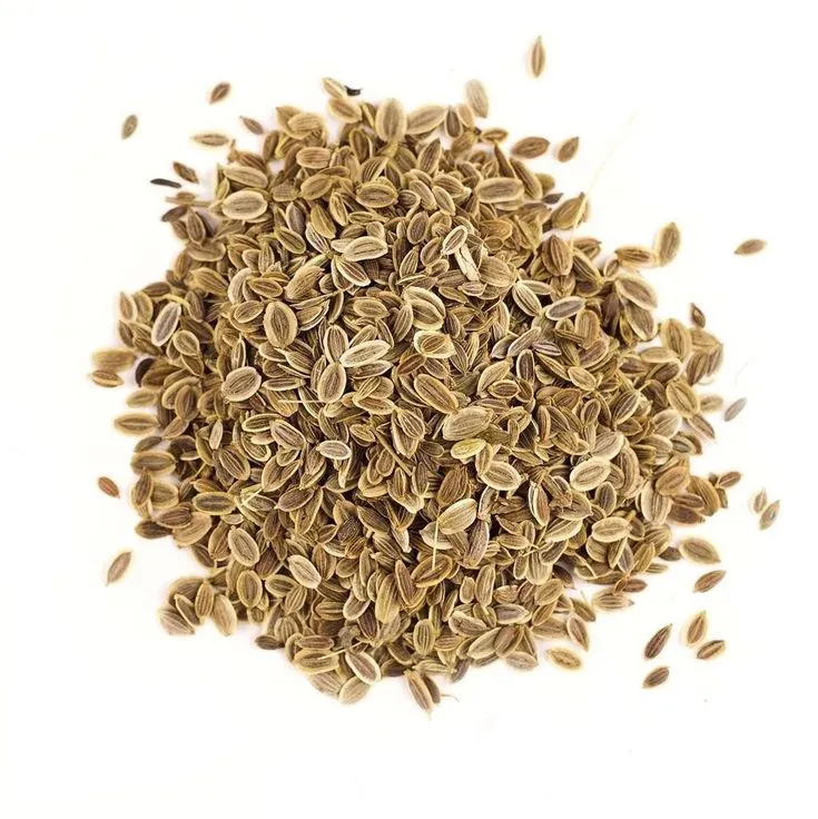 Premium Dill Seeds