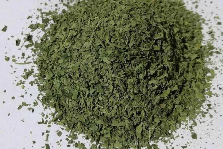 Premium Dried Molokhia Leaves