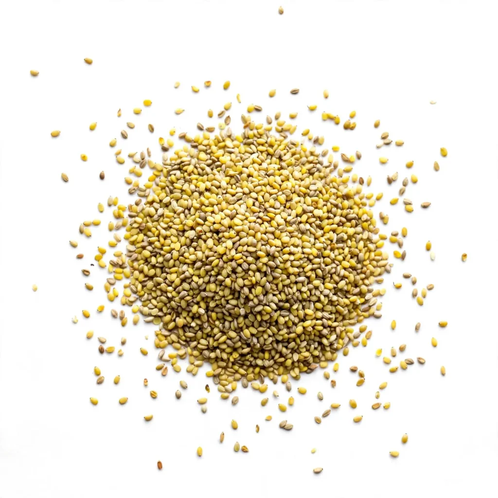 Premium Alfalfa Seeds