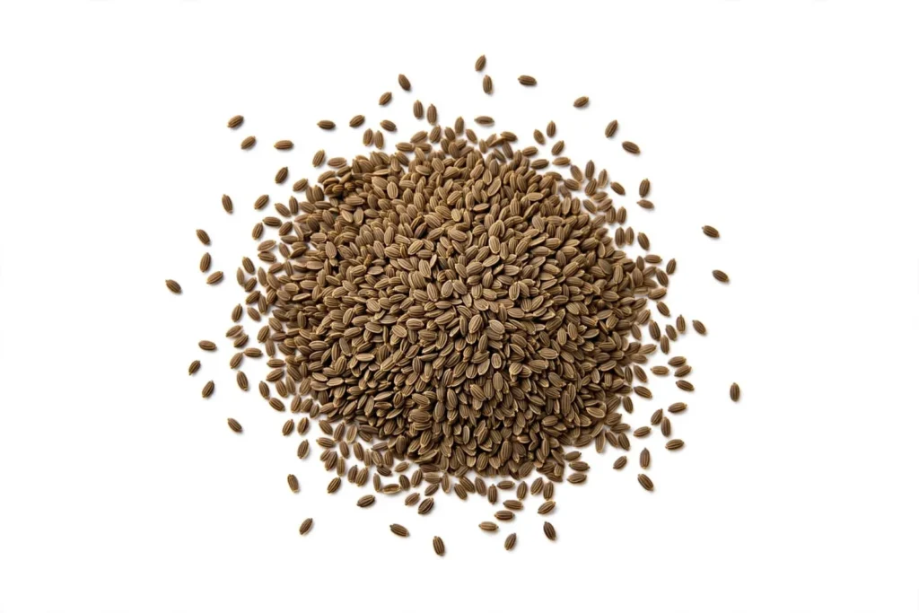 Premium Dill Seeds
