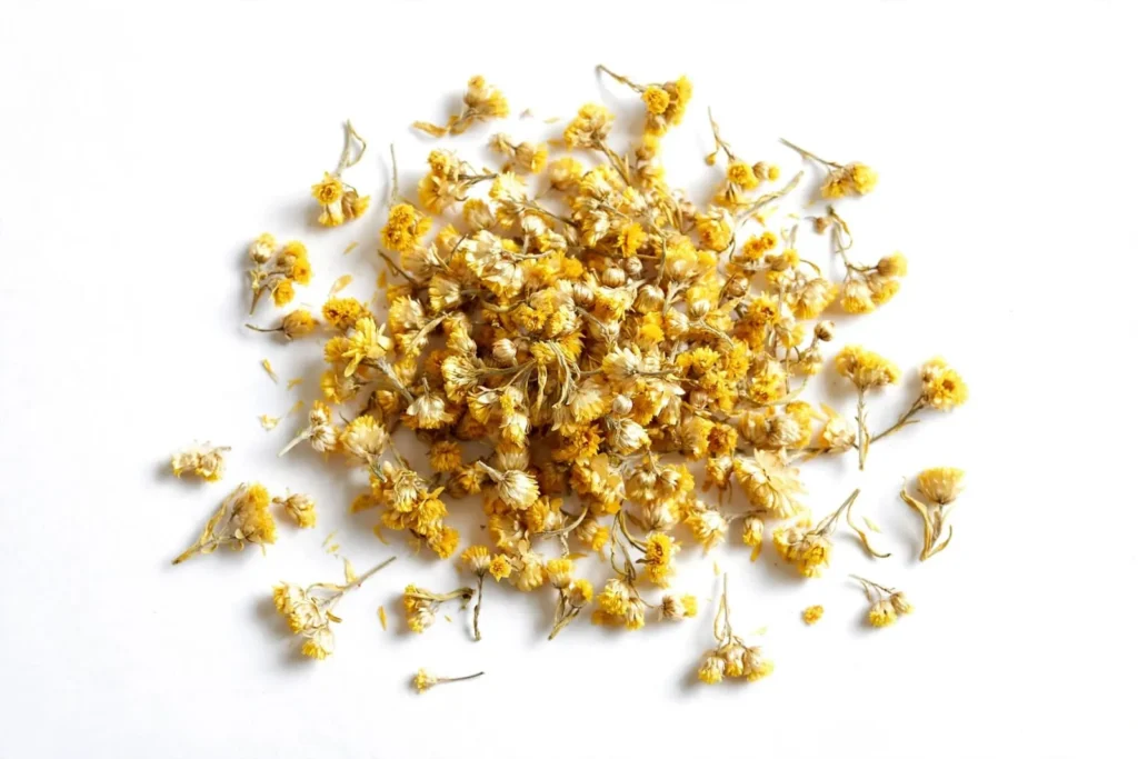 Premium Burdock Herb