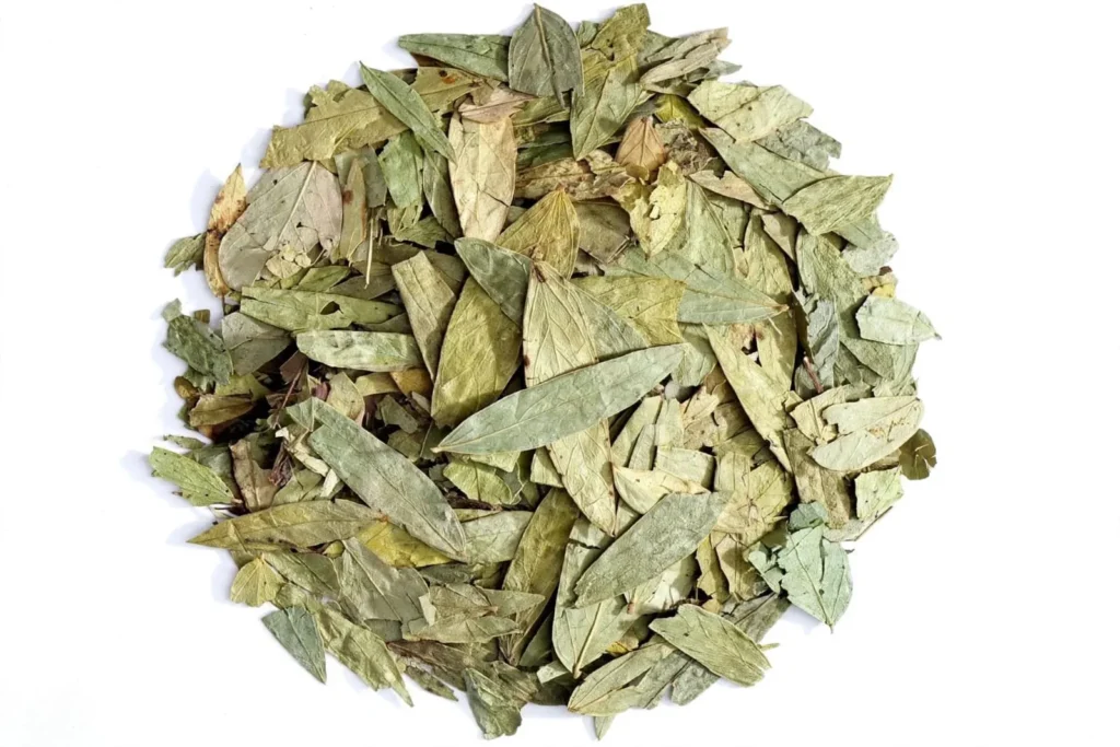 Premium Senna Leaves