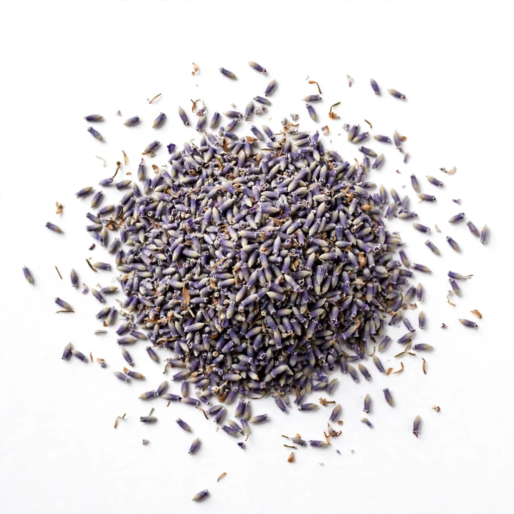 Premium Lavender Flowers