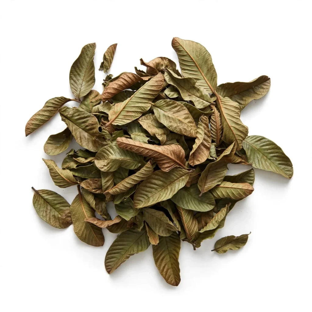 Guava Leaf Herb
